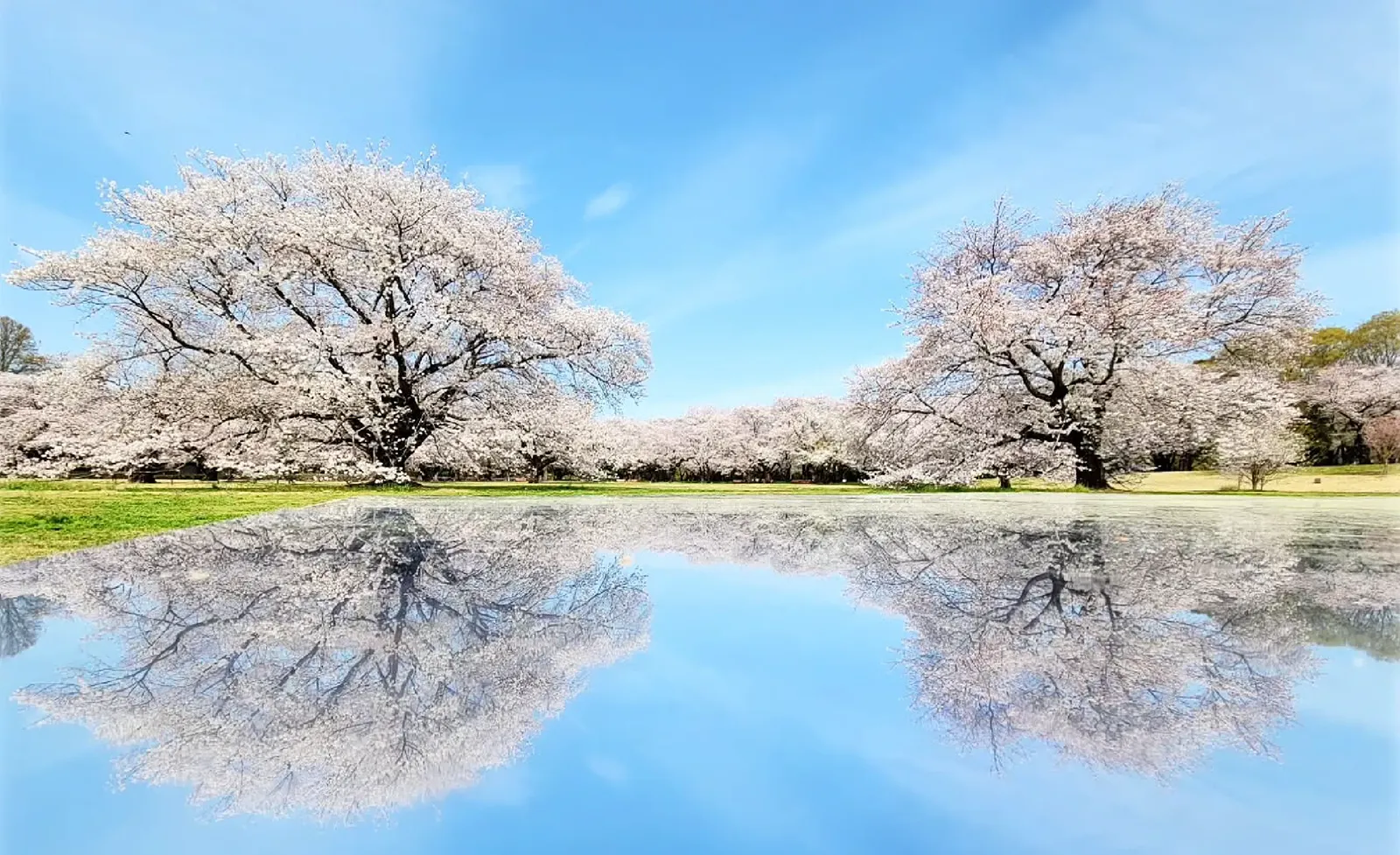 季節の風景 季節によってさまざまな表情を見せる多摩の景色