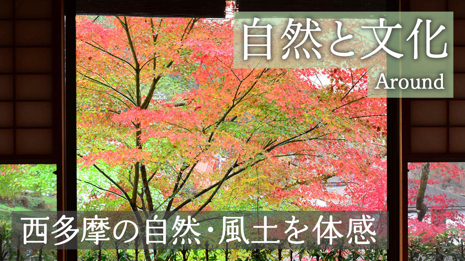 襖越しの紅葉