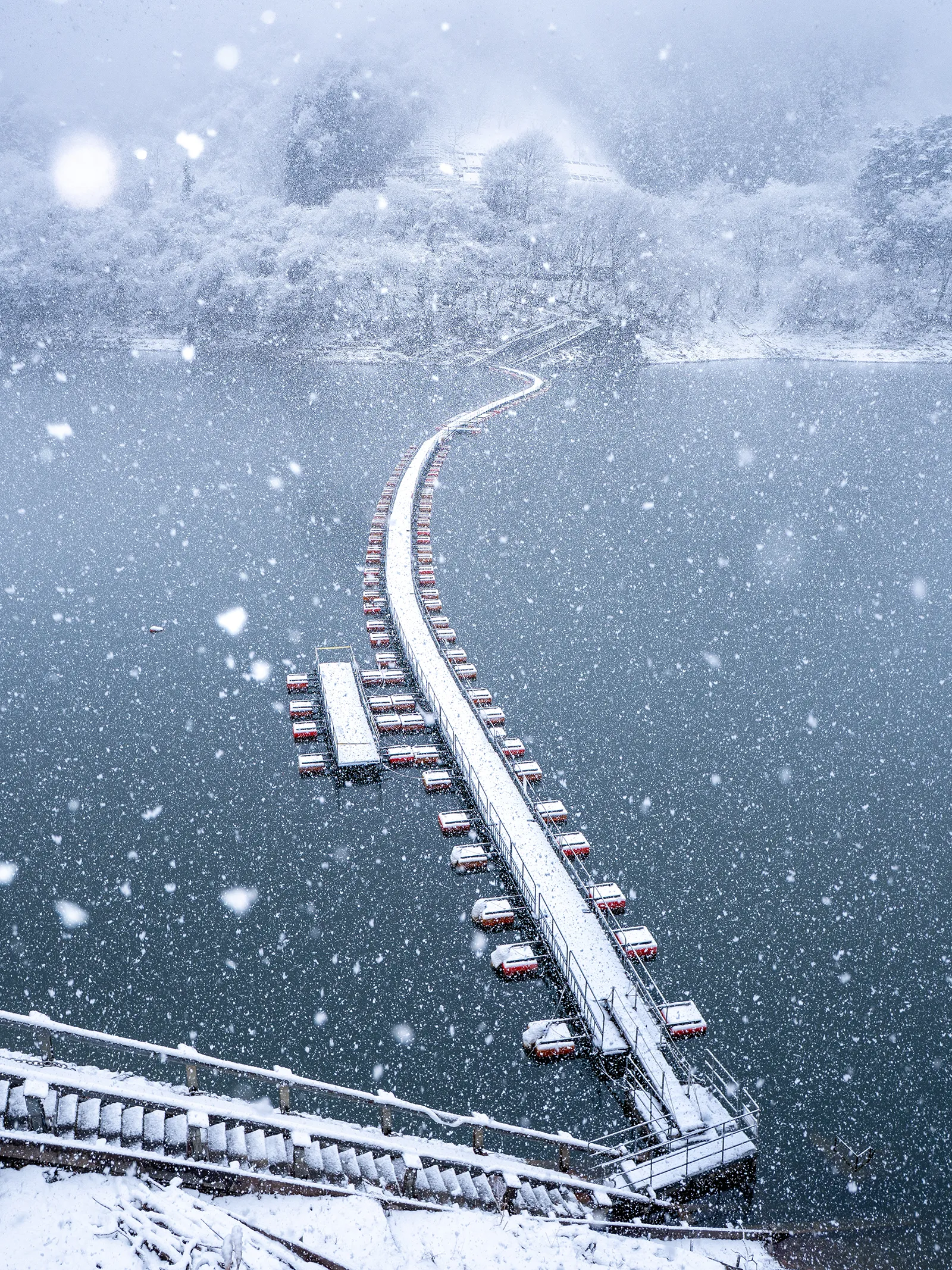 奥多摩町・奥多摩湖麦山浮橋